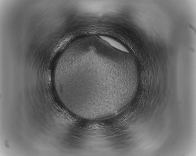 X0000094790731200712071228