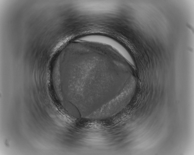 X0000094790732200712071228