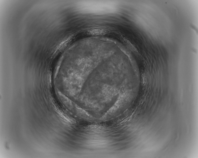 X0000094790733200712071228