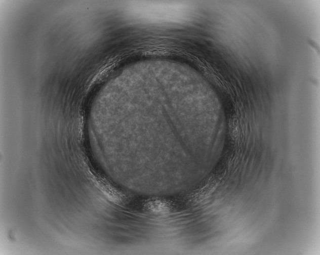 X0000094790735200712071228