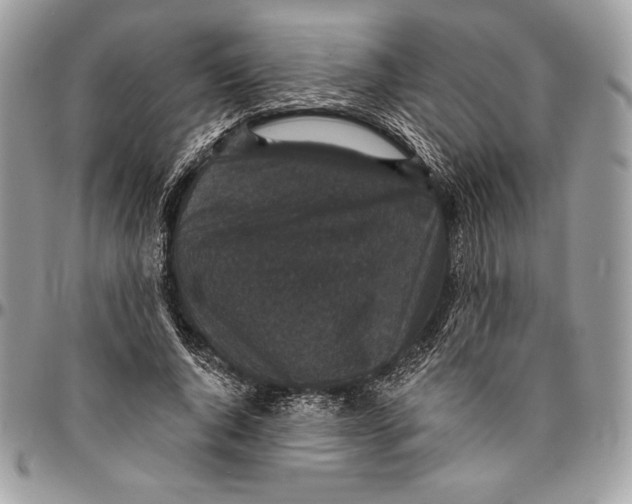 X0000094790736200712071228