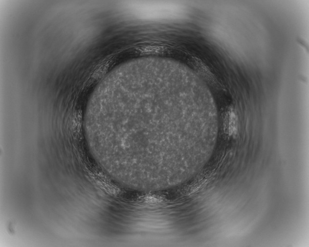 X0000094790737200712071228