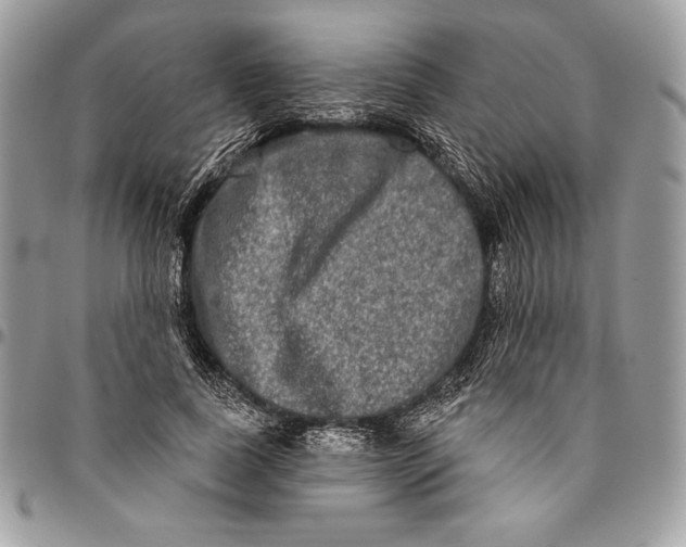 X0000094790739200712071228