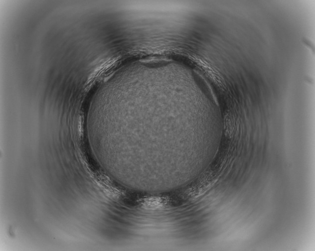 X0000094790740200712071228