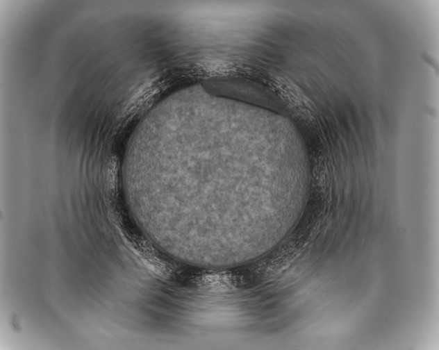 X0000094790744200712071228