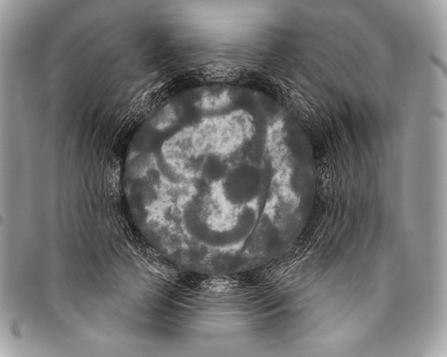 X0000094790745200712071228