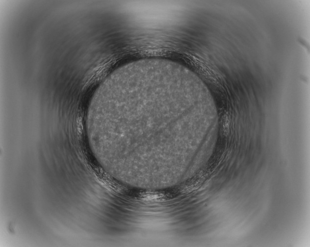 X0000094790746200712071228