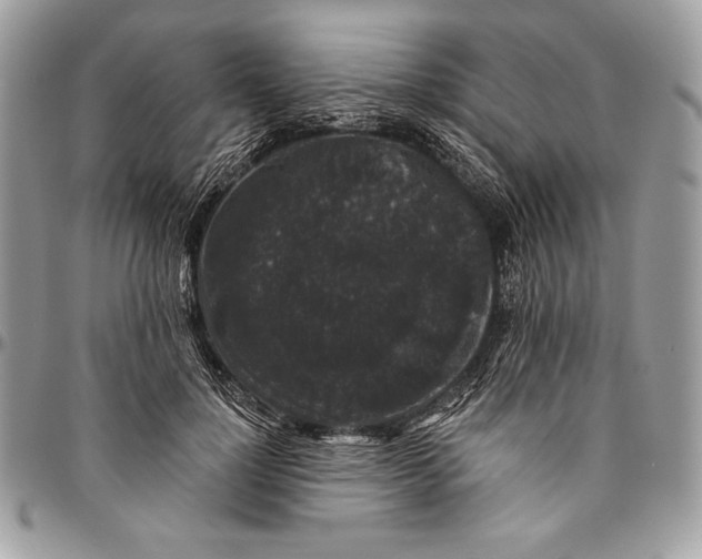 X0000094790748200712071228