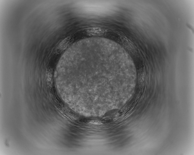 X0000094790749200712071228