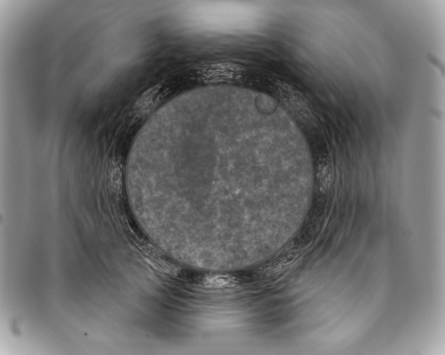 X0000094790753200712071228