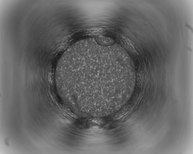 X0000094790755200712071228