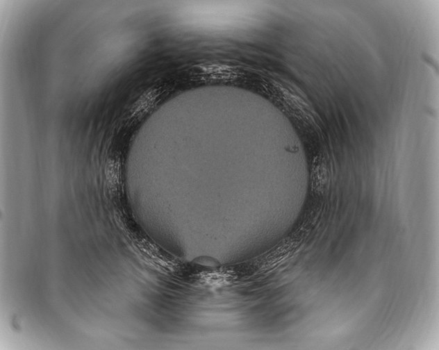 X0000094790756200712071228