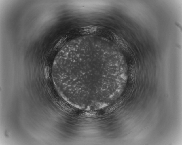 X0000094790758200712071228