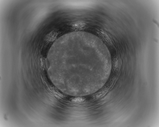 X0000094790759200712071228