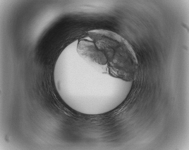 X0000094790761200712071228