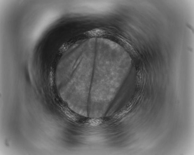 X0000094790762200712071228