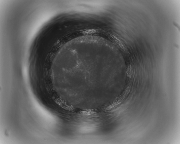 X0000094790763200712071228