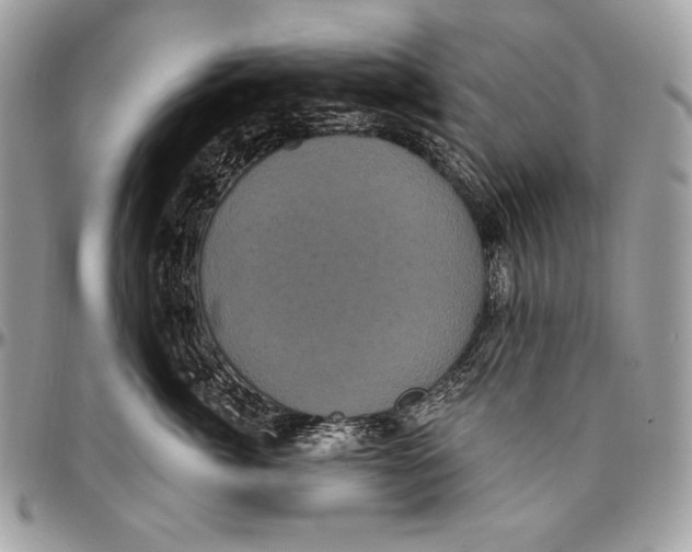 X0000094790764200712071228