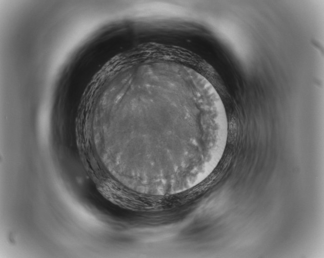 X0000094790765200712071228