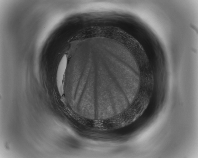 X0000094790766200712071228