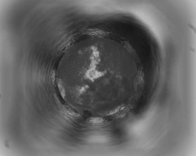 X0000094790767200712071228