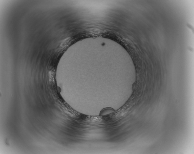 X0000094790768200712071228