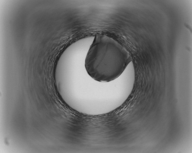 X0000094790769200712071227