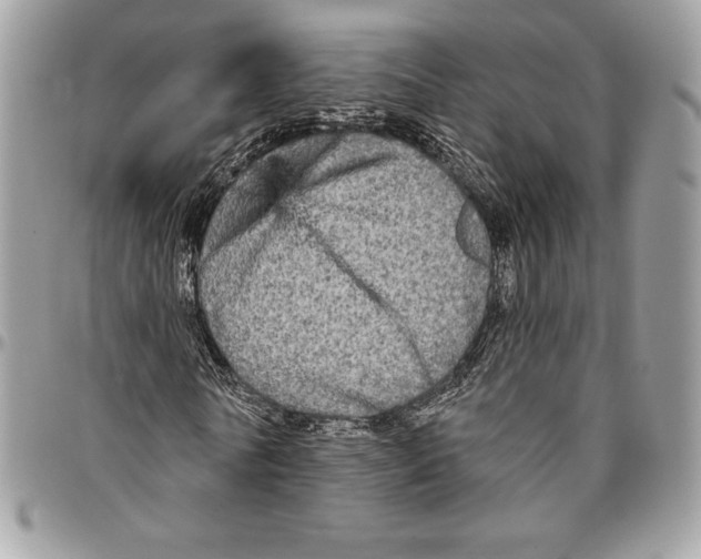 X0000094790770200712071227