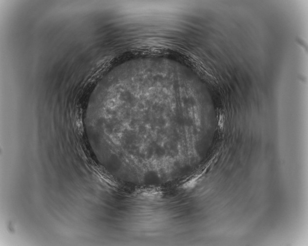 X0000094790771200712071227