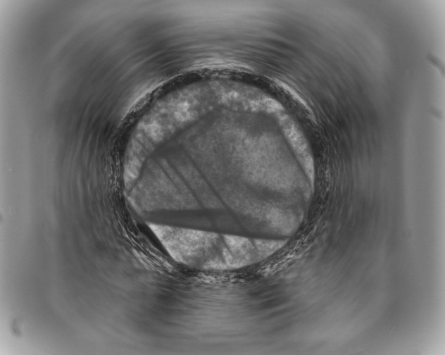 X0000094790775200712071227