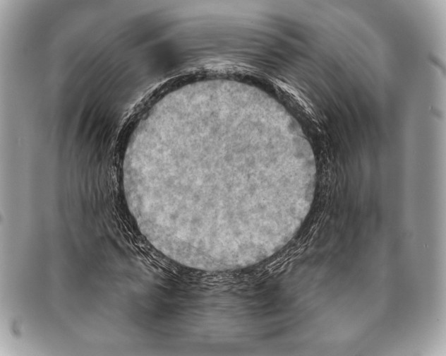 X0000094790776200712071227