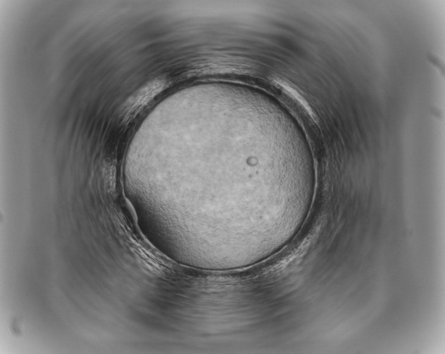 X0000094790777200712071227