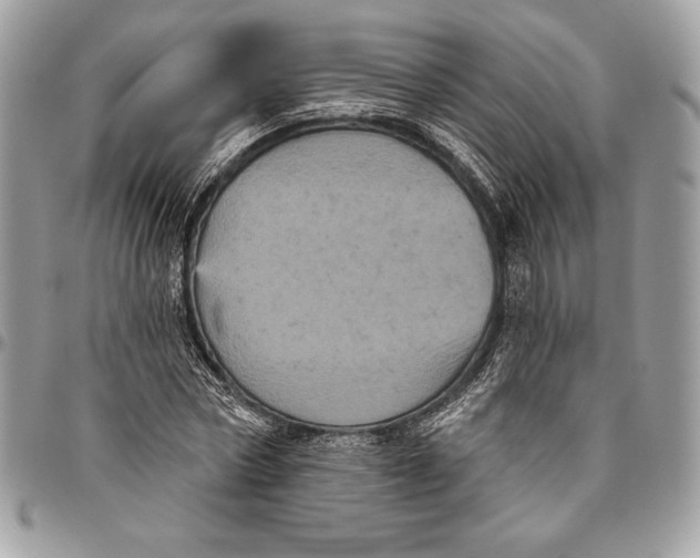 X0000094790778200712071227