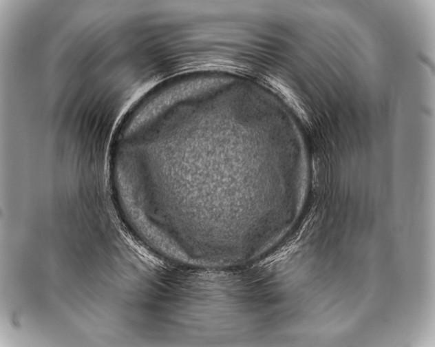 X0000094790780200712071227