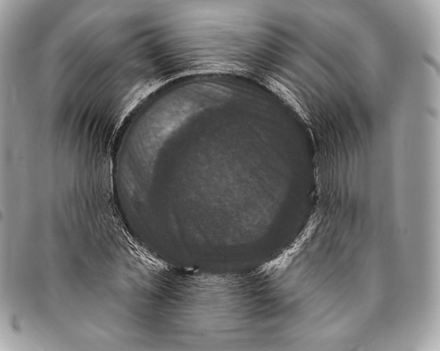 X0000094790781200712071227