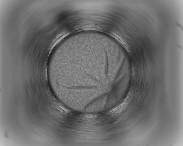 X0000094790782200712071227