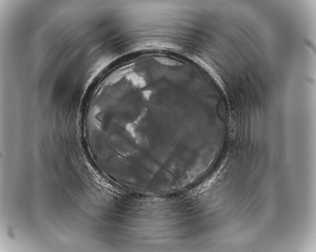 X0000094790783200712071227