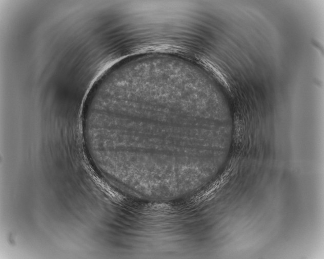 X0000094790784200712071227