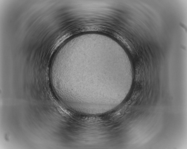 X0000094790786200712071227