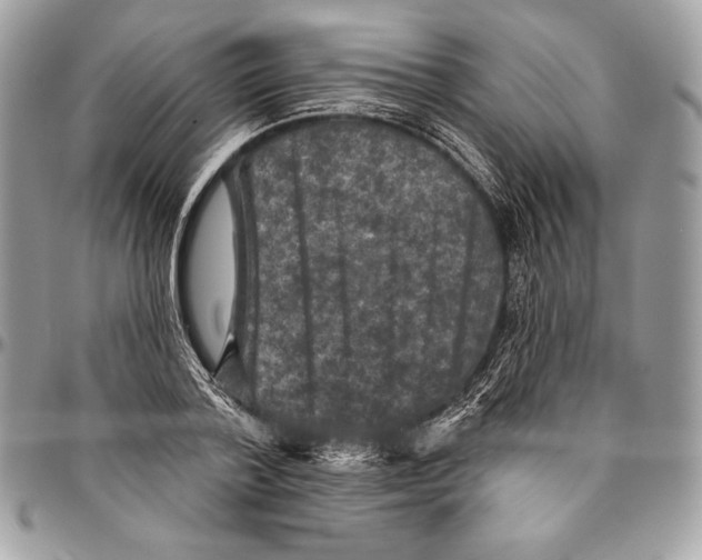 X0000094790788200712071227