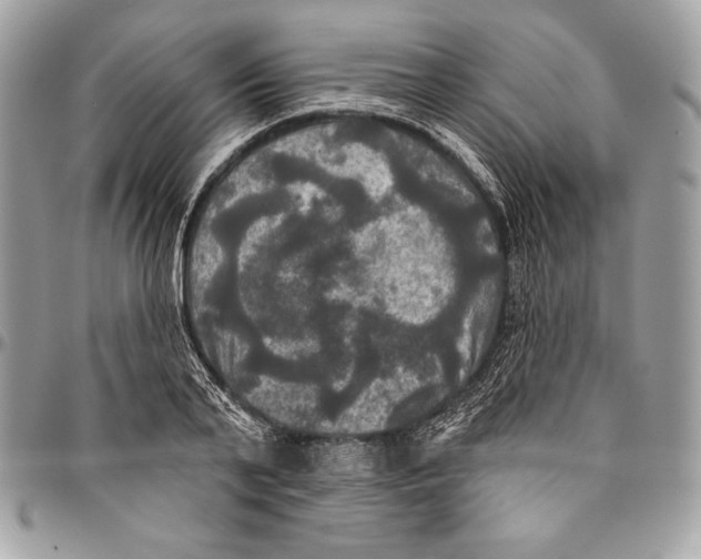 X0000094790791200712071227