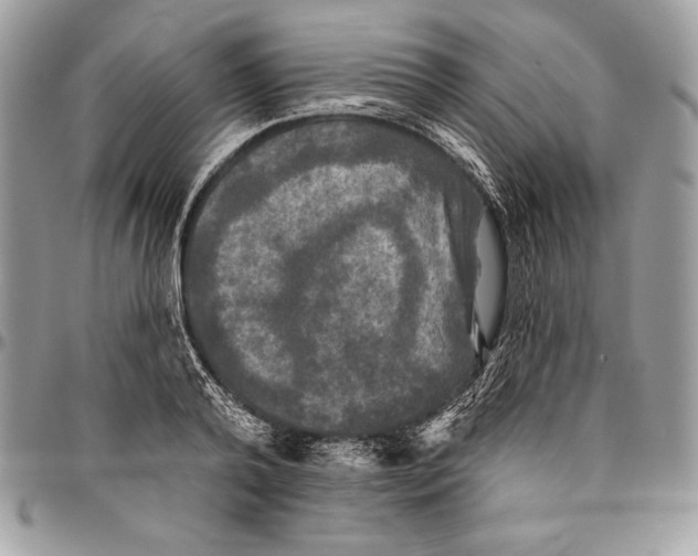 X0000094790792200712071227