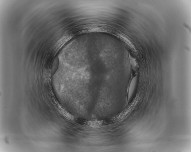 X0000094790793200712071227