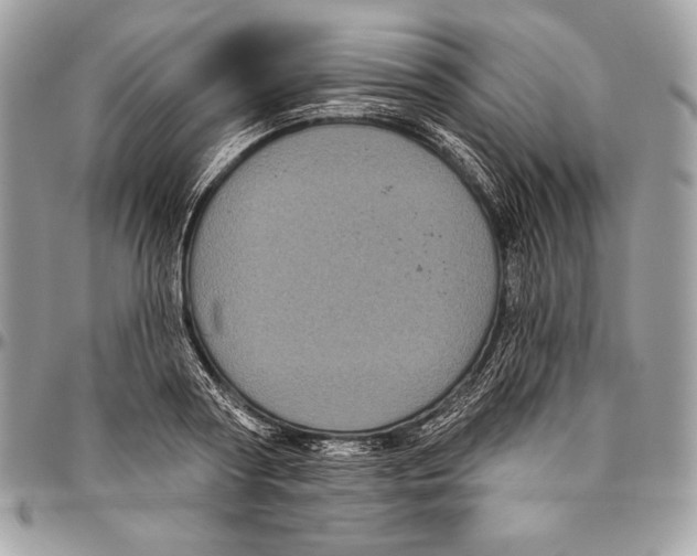 X0000094790794200712071227