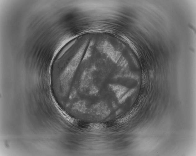 X0000094790795200712071227