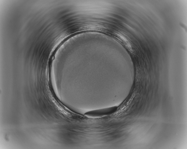 X0000094790796200712071227