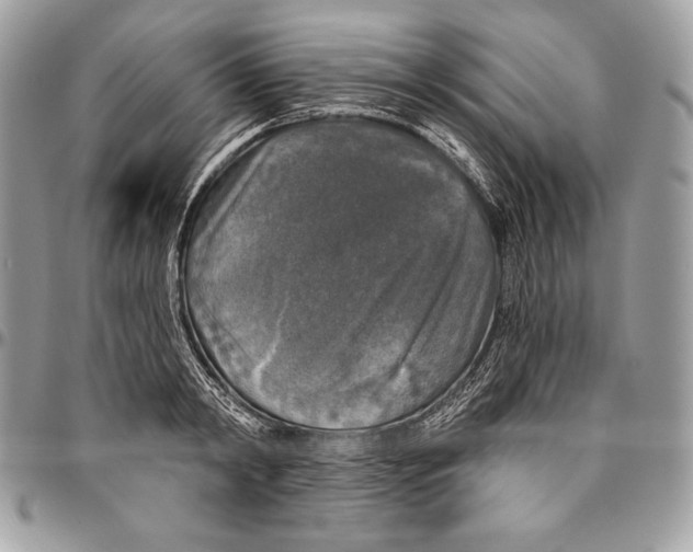 X0000094790798200712071227