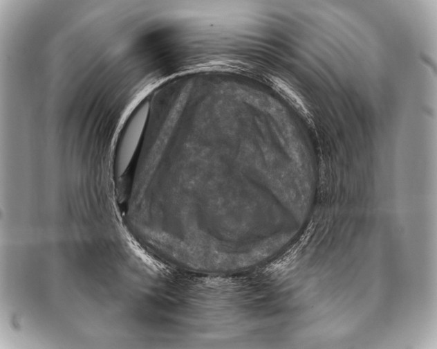 X0000094790800200712071227