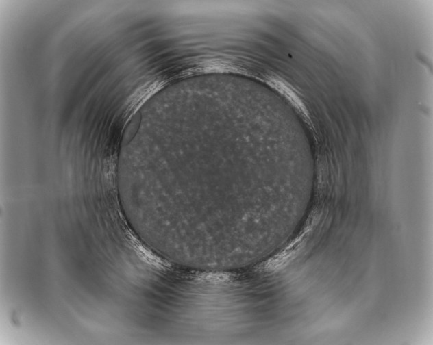 X0000094790801200712071227