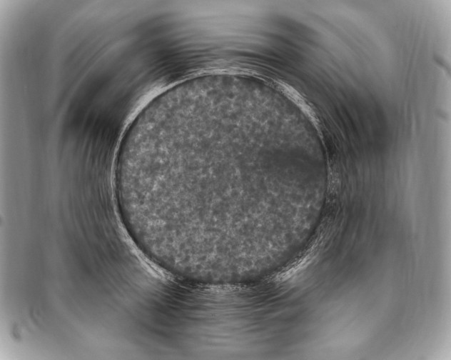 X0000094790803200712071227